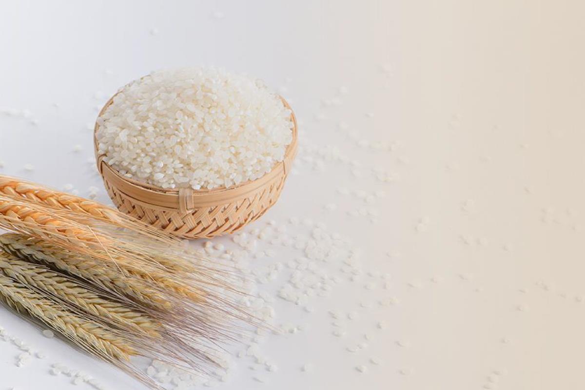 地産地消を基本に